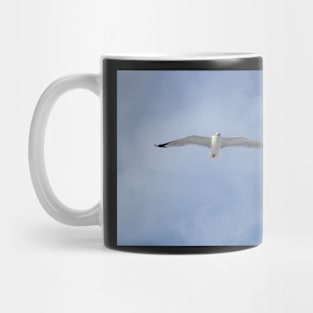 The seagull's flight Mug